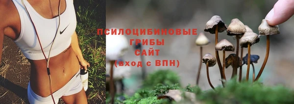 кокаин премиум Богородицк