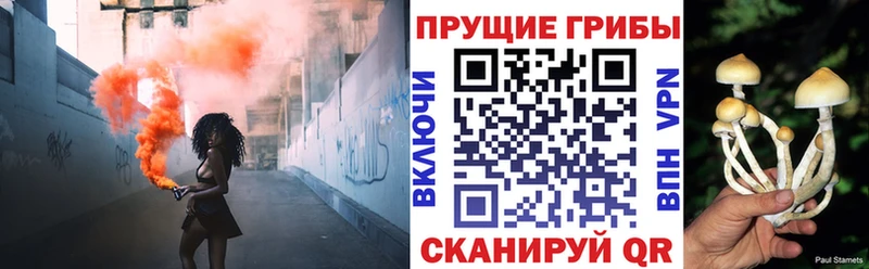 Псилоцибиновые грибы Psilocybine cubensis  Купить  Каменск-Шахтинский 